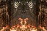 Julius von Bismarck. Feuer mit Feuer  Fire with Fire, 2020 Courtesy the artist; alexander levy Berlin; Sies+Höke, Düsseldorf and Marlborough Gallery, London/New York © the artist / VG Bild-Kunst, Bonn 2020