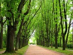 Parque Serralves